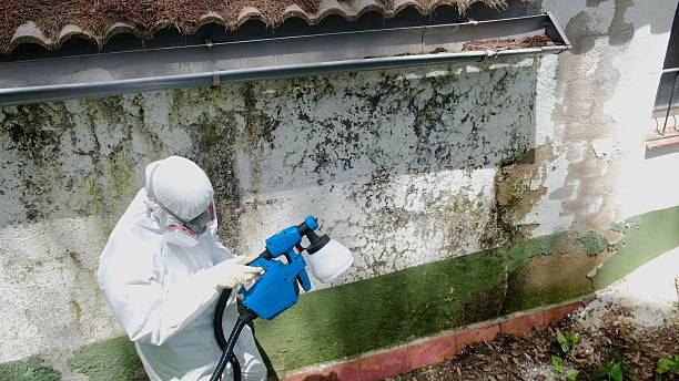 Top rated local Crawl Space Mold Remediation specialists in Karthaus, PA